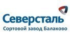 "Северсталь" презентовала сортовой мини-завод в Саратовской области.