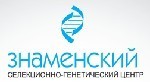 На территории Орловской области реализуются крупные инвестиционные проекты по созданию электрометаллургического производства, строительству цементного завода, модернизации перерабатывающих предприятий, в том, числе по производству сахарного песка и др.