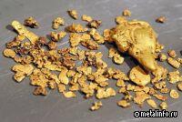 Павлик нарастил производство золота в 2023 г. на 29% за счет II очереди