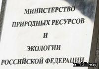 Минприроды предложило создать программу технологий полного цикла для дефицитного сырья