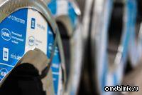 НЛМК разместил локальные облигации на $139,3 млн для замещения евробондов с погашением в 2024 году