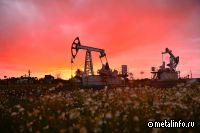 В 2024-2026 гг. «Снежнянскхиммаш» модернизируют