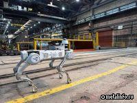 Северсталь тестирует возможности робособак на производстве