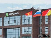 ГК «Агроэко» планирует инвестировать 41 млрд руб. в расширение производства