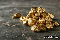 Newmont и Newcrest могут объединиться в крупнейшего мирового производителя золота