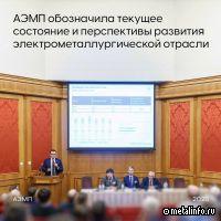 АЭМП обозначила текущее состояние и перспективы развития электрометаллургической отрасли