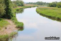 В строительство крупной молочной фермы в Ростовской области инвестируют 2 млрд руб.