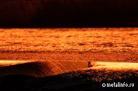 Производство стали и готового проката в РФ снизилось в январе 2023 г.