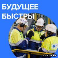 Члены совета директоров Норникеля посетили Быстру
