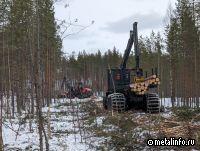 КАМАЗ проводит испытания лесозаготовительной техники