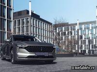 Свыше 210 китайских автосалонов закрылись в Росси в первом квартале