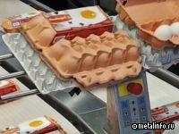 В Ленобласти построят крупнейший птичник Европы