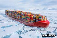 ОСК проектирует контейнеровоз ледового класса рекордной вместимости