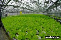 Компания из Дагестана планирует начать экспорт теплиц в ОАЭ в 2024 г.