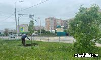 ММК в течение пяти лет направит 50 млн руб. на озеленение Магнитогорска