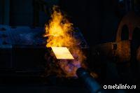 Polymetal может заплатить windfall tax в размере 600 млн руб.