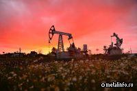 Краснокамская компания изготовила образец роторно-управляемой системы