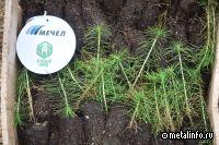 ЧМК обновил экологическое оборудование на агломерационном производстве