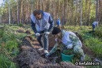 ТМК поддержала всероссийскую акцию «Сохраним лес»