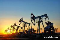Новак рассказал об открытии нефтяных месторождений в 2022 году