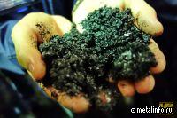 «Специалист» инвестирует в шахту и ЦОФ в ДНР еще 1,2 млрд руб.