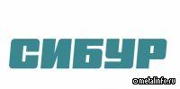 СИБУР договорился с бельгийской Solvay о выкупе ее доли в 50% в "Русвиниле"