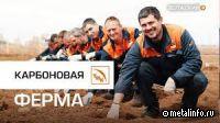 Проект ТМК по поглощению парниковых газов (видео)