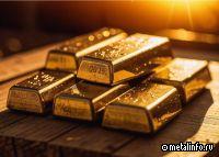 Президент холдинга Селигдар рассказал о перспективах вложений в добычу золота