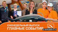 Индустриальные пейзажи и безопасность — Новости ТМК