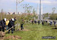 Северсталь продолжает поддерживать стратегию создания зеленого каркаса Череповца