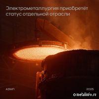 Электрометаллургия станет отдельной отраслью