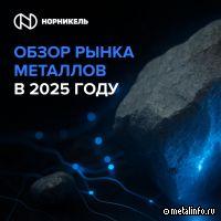 Обзор рынков никеля, меди и металлов платиновой группы от Норникеля: итоги первого полугодия 2025 г.
