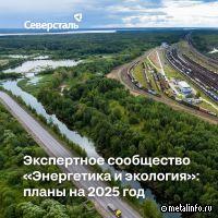 Сообщество Северстали Энергетика и экология подвело итоги работы за 2024 год и спланировали работу на 2025 год