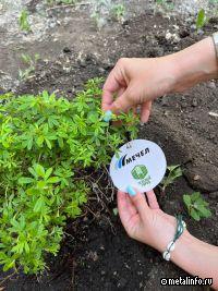 ЧМ выделил гранты на реализацию экологических проектов