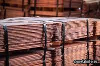 Разнонаправленная динамка цен на медь